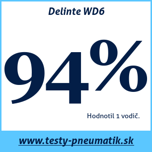 Test zimných pneumatík Delinte WD6