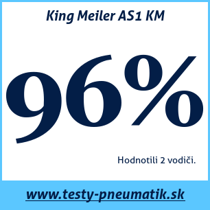 Test celoročných pneumatík King Meiler AS1 KM